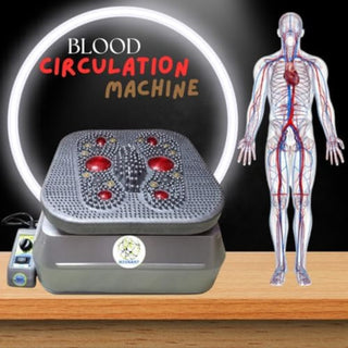 Blood circulation machine 